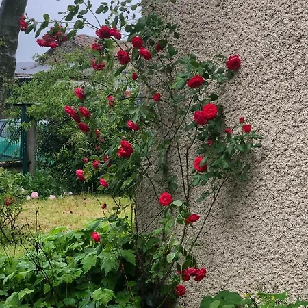 De Pampe Lune & Pampelonne