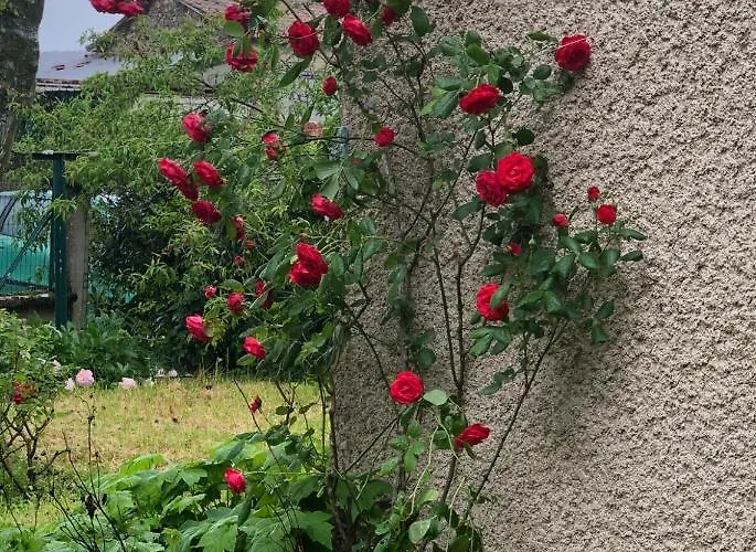 De Pampe Lune&spa Pampelonne